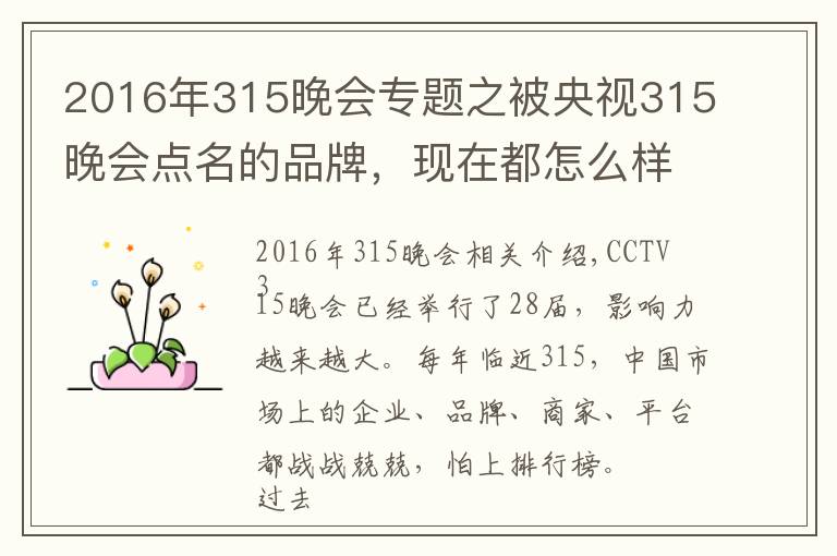 2016年315晚会专题之被央视315晚会点名的品牌,现在都怎么样了?