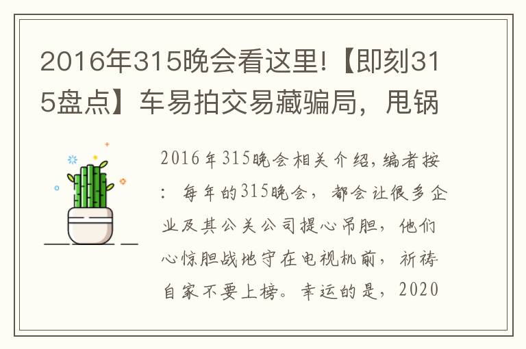 2016年315晚会看这里!【即刻315盘点】车易拍交易藏骗局,甩锅不成被指责