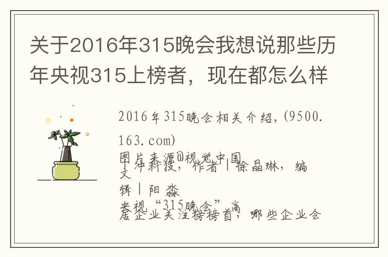关于2016年315晚会我想说那些历年央视315上榜者,现在都怎么样了?
