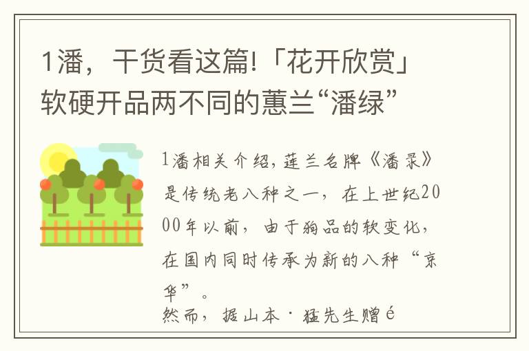 1潘,干货看这篇!「花开欣赏」软硬开品两不同的蕙兰“潘绿”