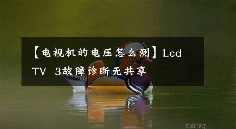 【电视机的电压怎么测】Lcd  TV  3故障诊断无共享