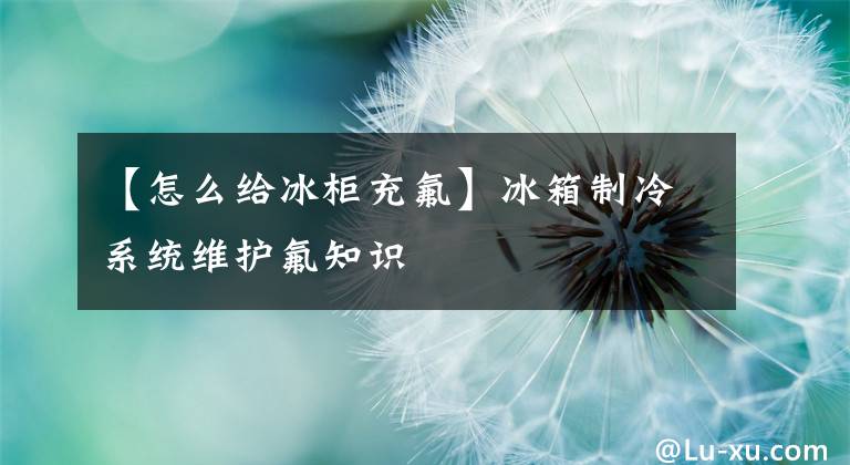 【怎么给冰柜充氟】冰箱制冷系统维护氟知识