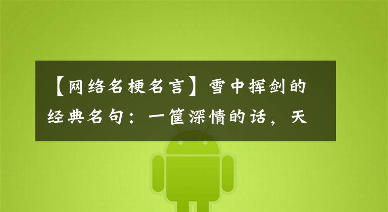 【网络名梗名言】雪中挥剑的经典名句:一筐深情的话,天空不生我。李顺飞yyds