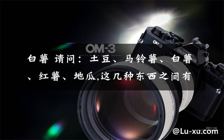 白薯 请问:土豆、马铃薯、白薯、红薯、地瓜,这几种东西之间有什么区别?