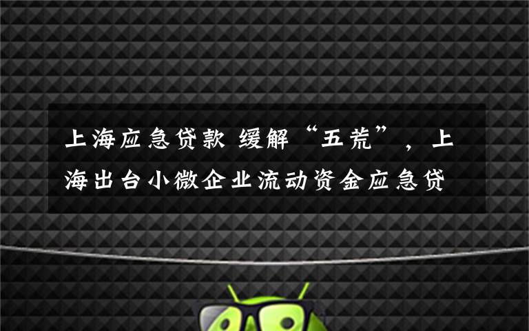 上海应急贷款 缓解“五荒”，上海出台小微企业流动资金应急贷方案