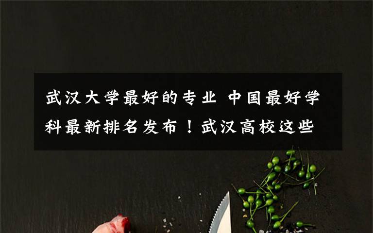 武汉大学最好的专业 中国最好学科最新排名发布！武汉高校这些专业最强