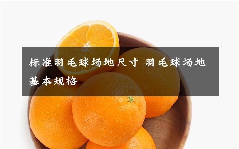 标准羽毛球场地尺寸 羽毛球场地基本规格