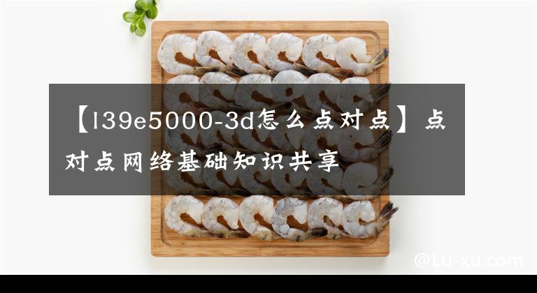 【l39e5000-3d怎么点对点】点对点网络基础知识共享