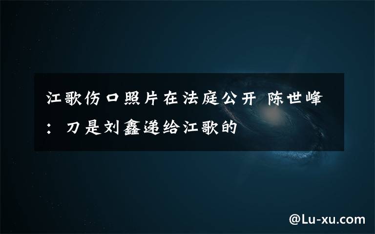 江歌伤口照片在法庭公开 陈世峰:刀是刘鑫递给江歌的
