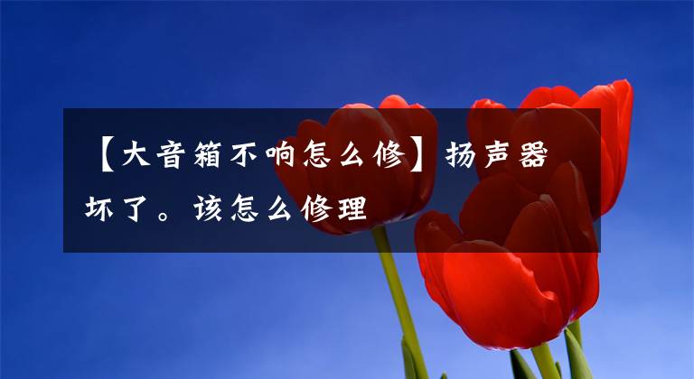 【大音箱不响怎么修】扬声器坏了。该怎么修理