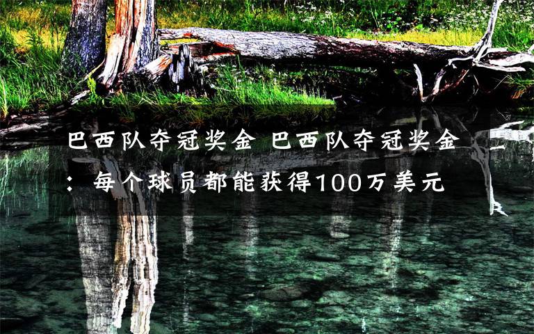 巴西队夺冠奖金 巴西队夺冠奖金:每个球员都能获得100万美元 卫冕冠军德国是这个数