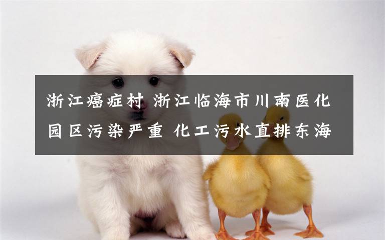 浙江癌症村 浙江临海市川南医化园区污染严重 化工污水直排东海