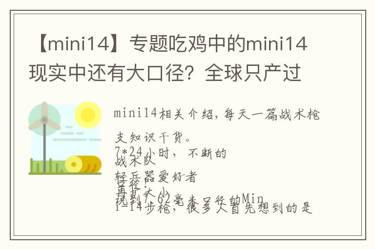 【mini14】专题吃鸡中的mini14现实中还有大口径?全球只产过一百支!