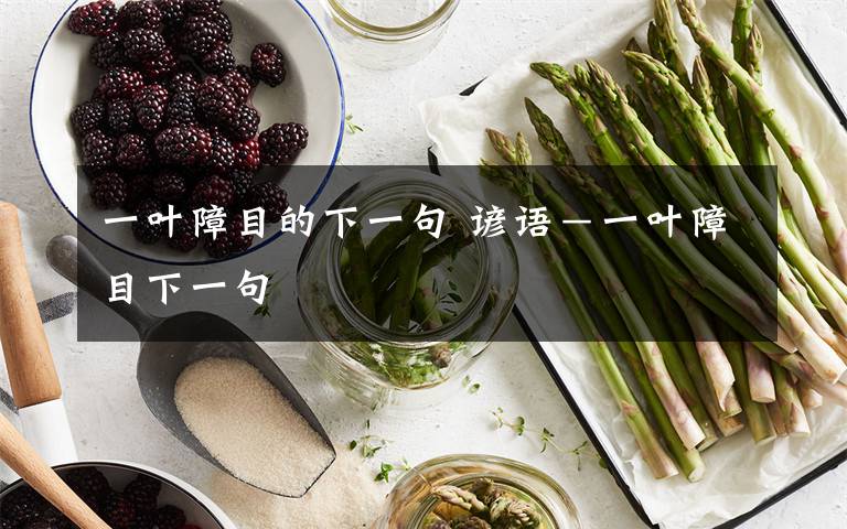 一叶障目的下一句 谚语-一叶障目下一句