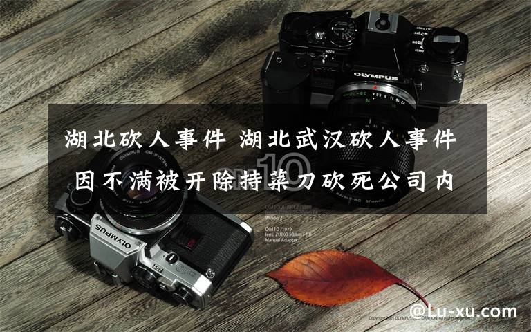 湖北砍人事件 湖北武汉砍人事件 因不满被开除持菜刀砍死公司内3人