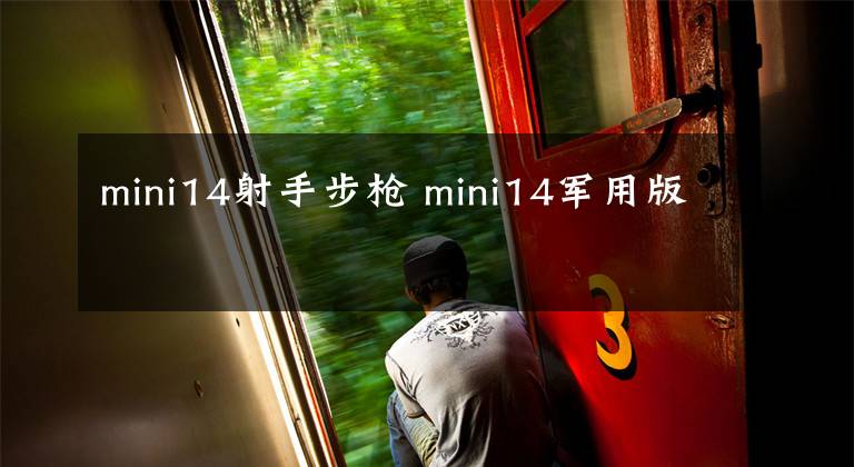 mini14射手步枪 mini14军用版