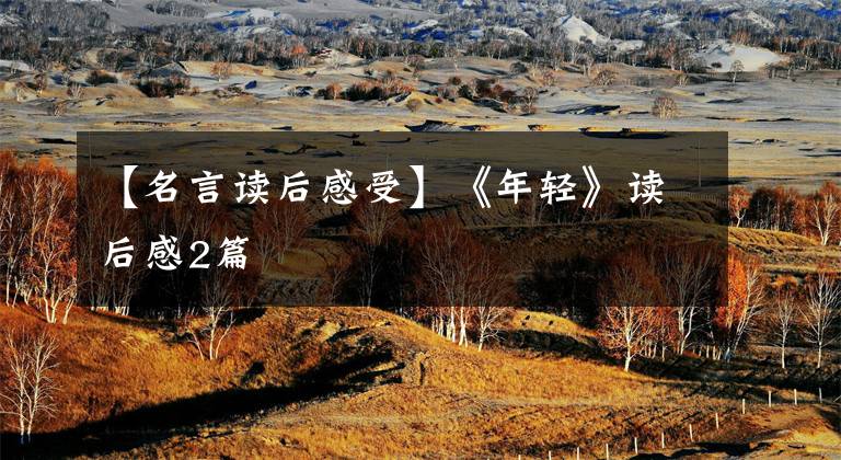 【名言读后感受】《年轻》读后感2篇