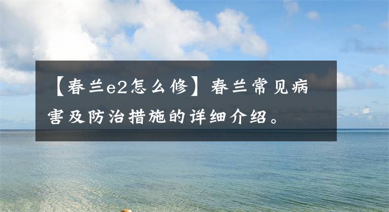 【春兰e2怎么修】春兰常见病害及防治措施的详细介绍。