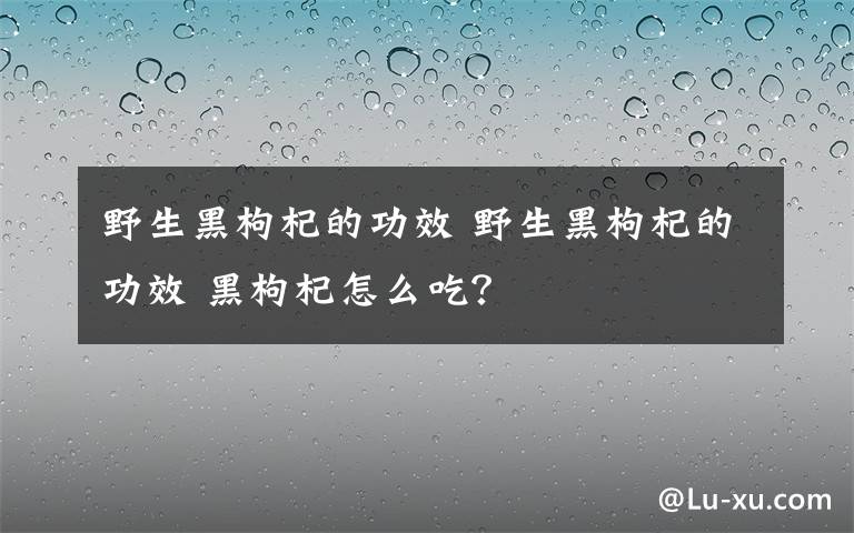 野生黑枸杞的功效 野生黑枸杞的功效 黑枸杞怎么吃?