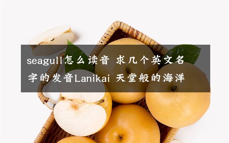 seagull怎么读音 求几个英文名字的发音Lanikai 天堂般的海洋(夏威夷)Laraine 海鸟(拉丁语)Larina 海鸥(拉丁语)Ly