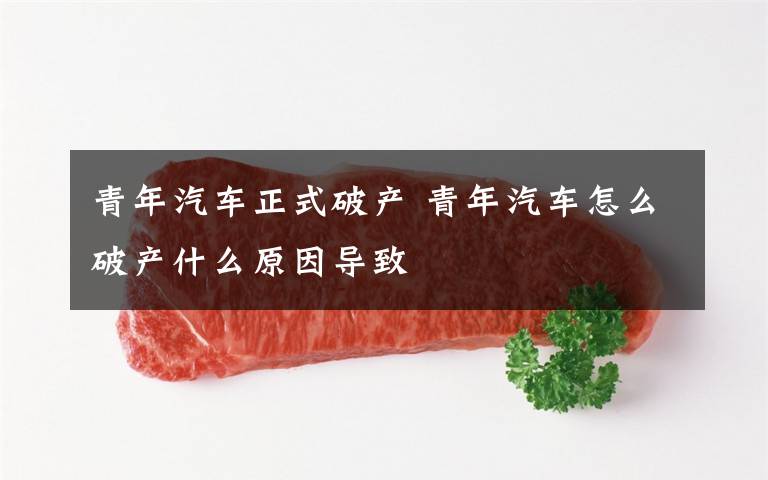 青年汽车正式破产 青年汽车怎么破产什么原因导致