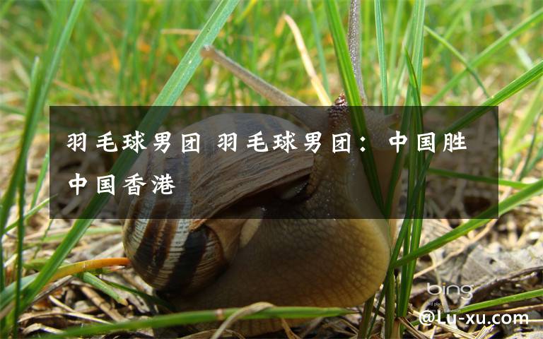 羽毛球男团 羽毛球男团:中国胜中国香港