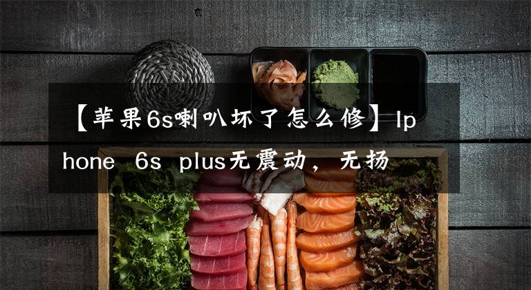 【苹果6s喇叭坏了怎么修】Iphone 6s plus无震动,无扬声器声音