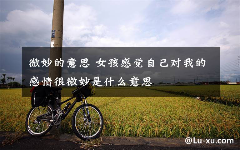 微妙的意思 女孩感觉自己对我的感情很微妙是什么意思