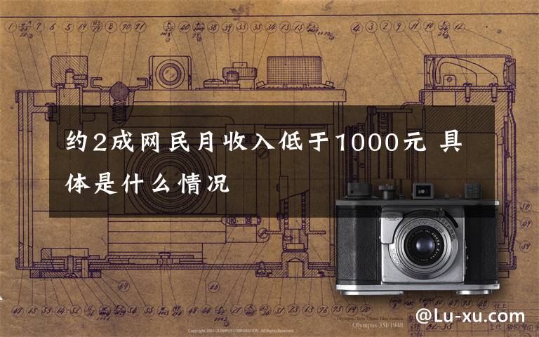 约2成网民月收入低于1000元 具体是什么情况