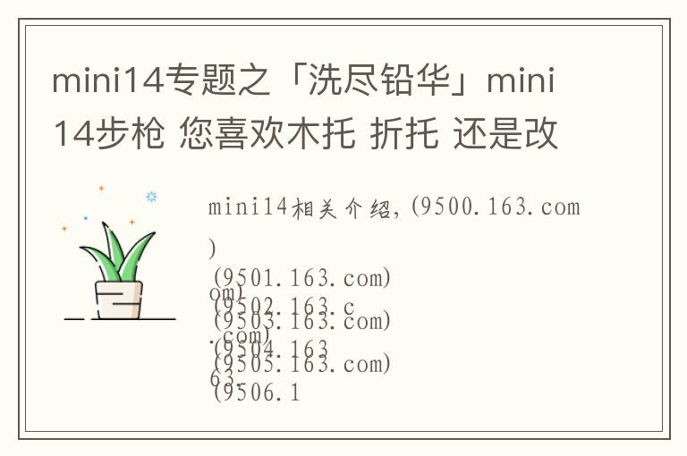 mini14专题之「洗尽铅华」mini14步枪 您喜欢木托 折托 还是改造版