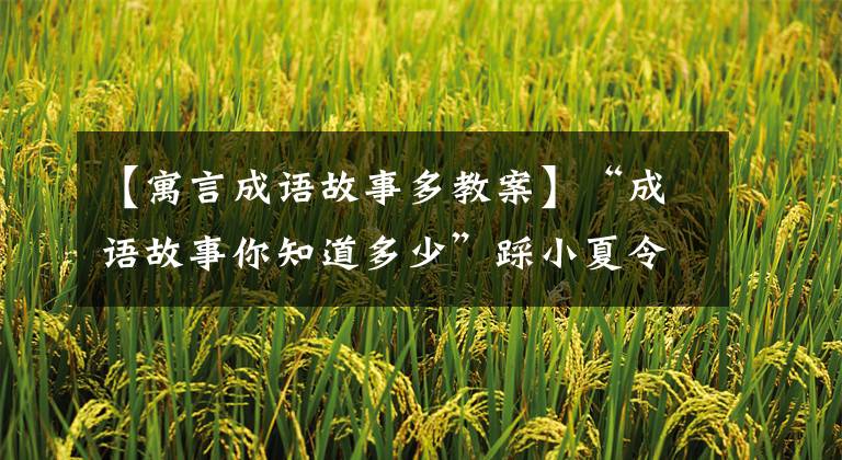 【寓言成语故事多教案】“成语故事你知道多少”踩小夏令营。