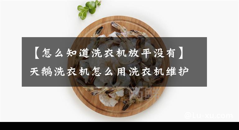 【怎么知道洗衣机放平没有】天鹅洗衣机怎么用洗衣机维护?