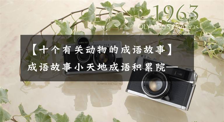 【十个有关动物的成语故事】成语故事小天地成语积累院——动物篇3354螳螂捕捉蝉鹳。
