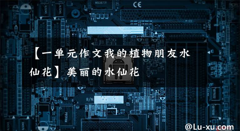 【一单元作文我的植物朋友水仙花】美丽的水仙花