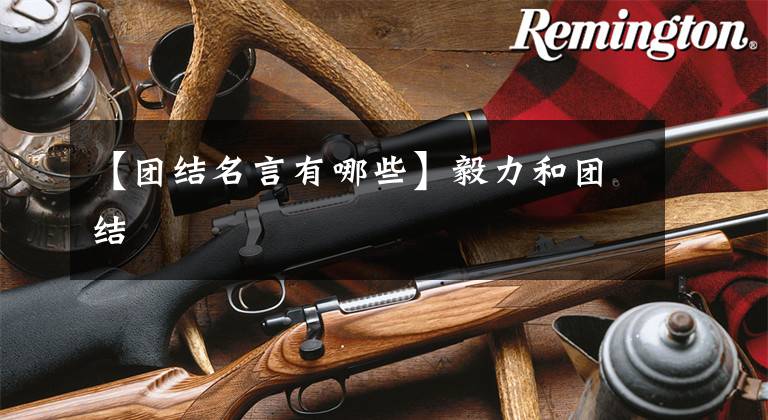 【团结名言有哪些】毅力和团结