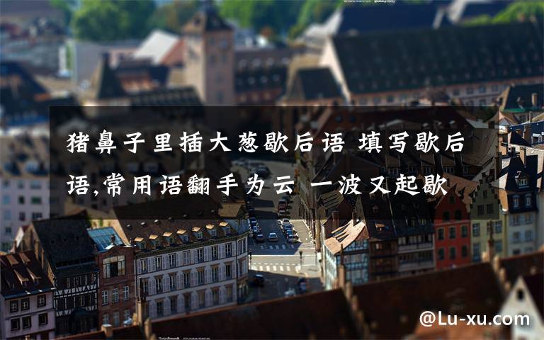 猪鼻子里插大葱歇后语 填写歇后语,常用语翻手为云 一波又起歇后语:猪鼻子插大葱----的居处----开门见山误闯