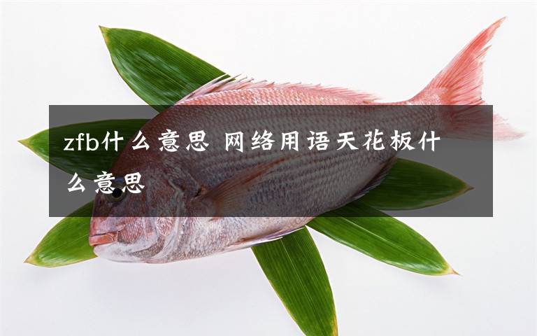 zfb什么意思 网络用语天花板什么意思