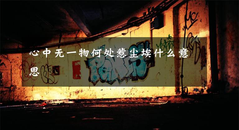 心中无一物何处惹尘埃什么意思