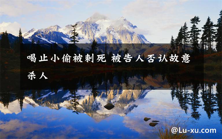 喝止小偷被刺死 被告人否认故意杀人