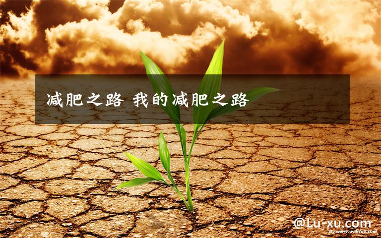 减肥之路 我的减肥之路