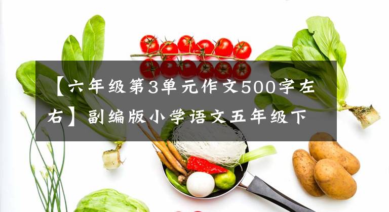 【六年级第3单元作文500字左右】副编版小学语文五年级下册单元习作例句及评论