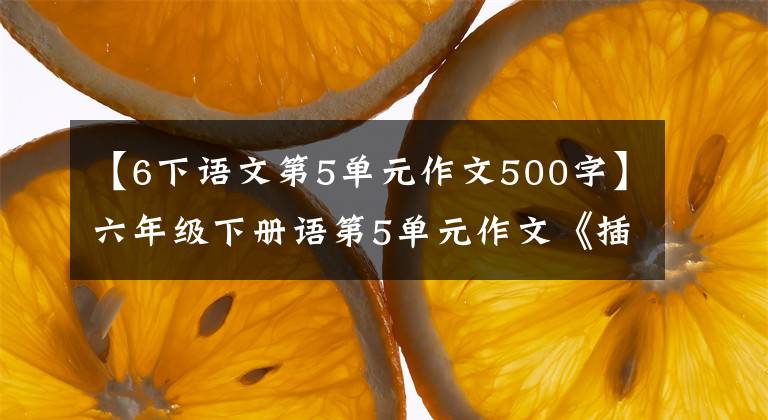 【6下语文第5单元作文500字】六年级下册语第5单元作文《插上科学的翅膀飞》写作指导
