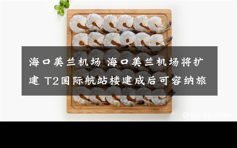 海口美兰机场 海口美兰机场将扩建 T2国际航站楼建成后可容纳旅客420万人次