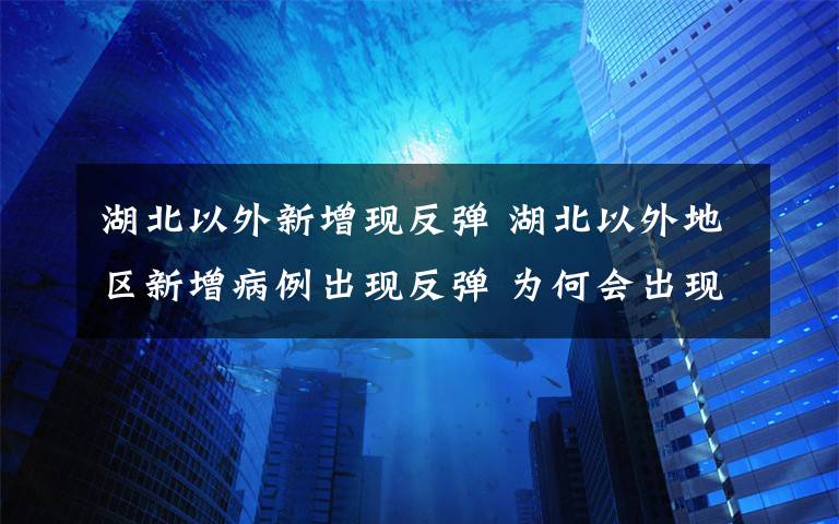 湖北以外新增现反弹 湖北以外地区新增病例出现反弹 为何会出现反弹情况?