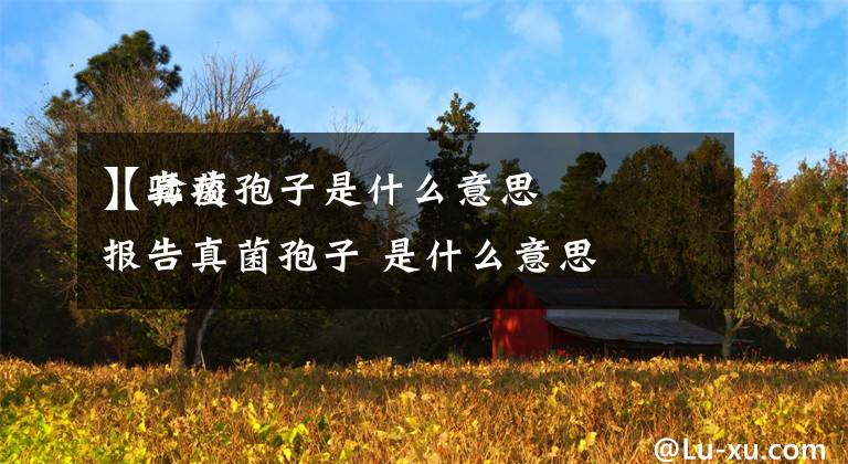 【真菌孢子是什么意思
】验痰报告真菌孢子 是什么意思