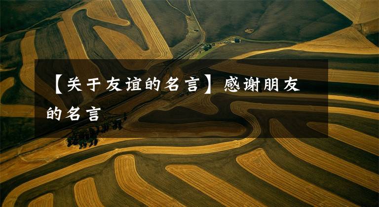 【关于友谊的名言】感谢朋友的名言