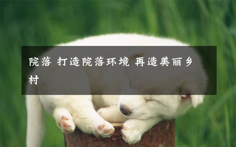 院落 打造院落环境 再造美丽乡村