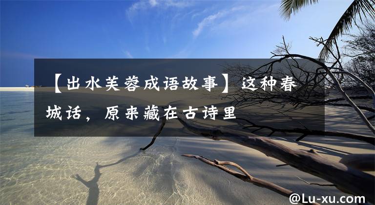【出水芙蓉成语故事】这种春城话,原来藏在古诗里