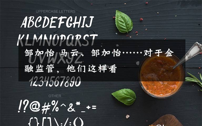 邹加怡 马云、邹加怡……对于金融监管,他们这样看