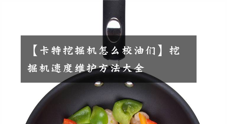 【卡特挖掘机怎么校油们】挖掘机速度维护方法大全